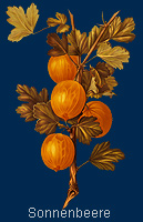 (c) by weltenstadt.de